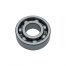 Bearing 6205