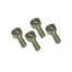 Wheel bolts M10 thread