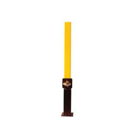 Removable Security Post