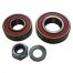 Erde Bearing Kit
