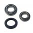Bearing Kit for Avonride R Hub 203mm Diameter