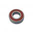 Gas Strut for Hardtop for Daxara 218